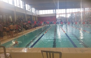 INTERCLUBS  11 ans et moins (PLOT N°1) + DAUPHINS  13 décembre 2014  BELLEGARDE