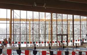 NATATHLON 1ère étape BELLEGARDE/VALSERINE 1er février 2015