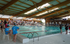 NATATHLON BENJAMINS PLOT N°2 et MEETING DEPARTEMENTAL  008/03/2015  AMBERIEU