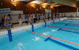 PLOT AVENIRS N°1  2024