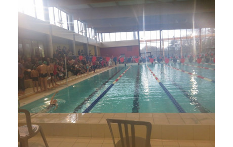 INTERCLUBS  11 ans et moins (PLOT N°1) + DAUPHINS  13 décembre 2014  BELLEGARDE