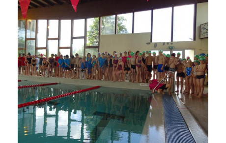 NATATHLON POUSSINS  PLOT 3 BELLEY ( 10ans et -  ; 11 ans)