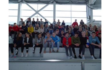 STAGE  DEPARTEMENTAL