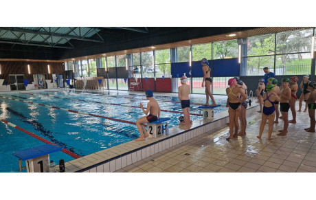 STAGE COUPE PLEWINSKI   samedi 4 mai Piscine Carriat  